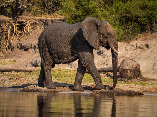 Die Viktoriafälle - Afrikas Garten Eden - Kuvat elokuvasta