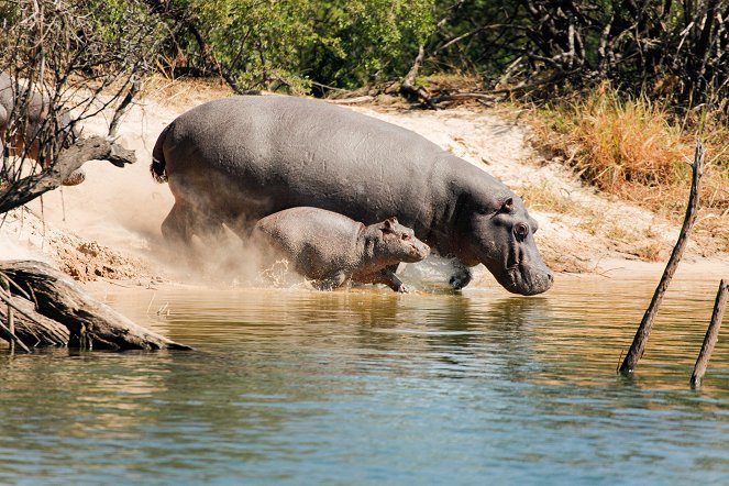 Die Viktoriafälle - Afrikas Garten Eden - Kuvat elokuvasta