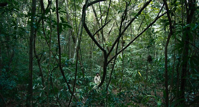 Selva trágica - De la película