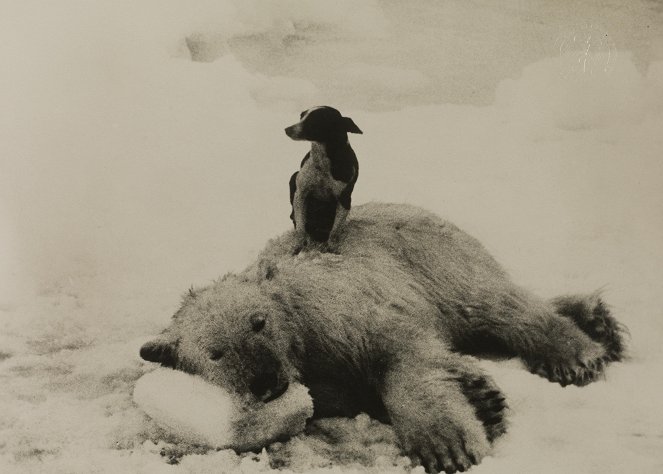 Roald Amundsen - Lincoln Ellsworth's flyveekspedisjon 1925 - Film
