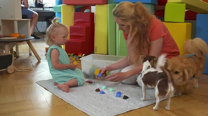 Train Your Baby Like a Dog - Die Hund-Kind-Methode - Do filme