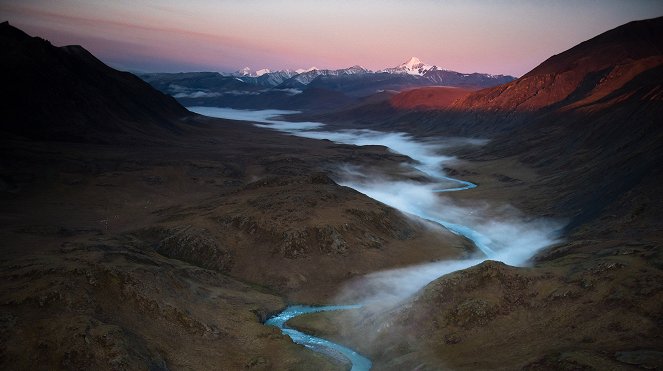 The Arctic: Our Last Great Wilderness - Photos