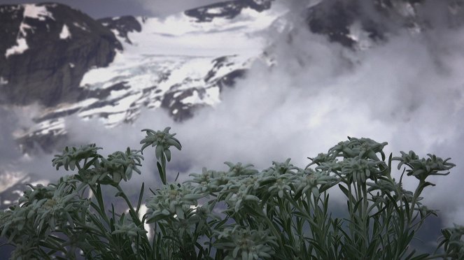Wunder der Erde - Gebirge - Filmfotos