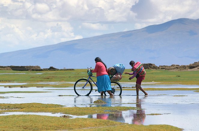 Habiter le monde - Bolivie, les Chipayas, peuple de l'eau - Van film