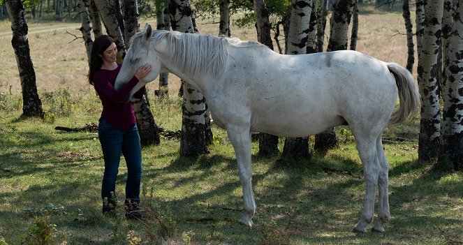 Heartland - Paradies für Pferde - Wo die wilden Pferde leben - Filmfotos