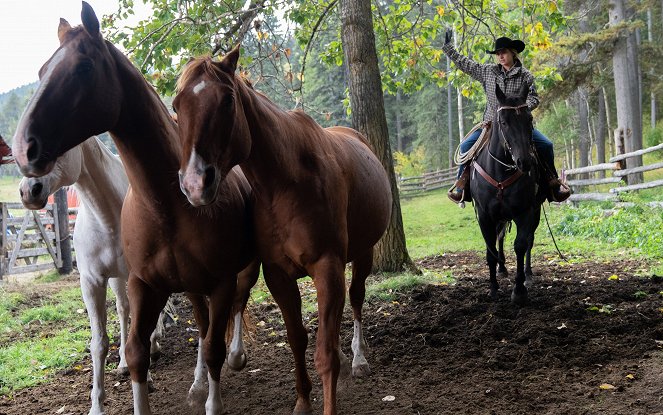 Heartland - Season 12 - Room to Grow - Van film