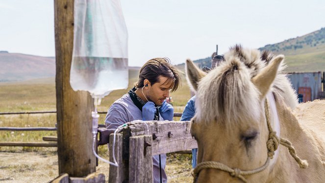 Heartland - Paradies für Pferde - Neue Herausforderungen - Filmfotos