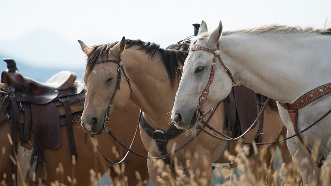 Heartland - Paradies für Pferde - Genug ist genug - Filmfotos