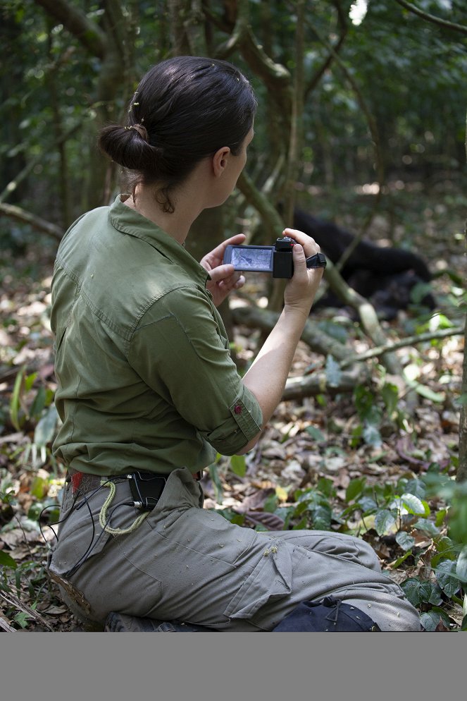 Primates - Schutz für die Primaten - Filmfotos