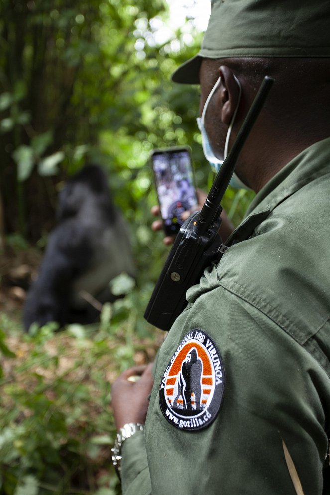Primates - Protecting Primates - Van film