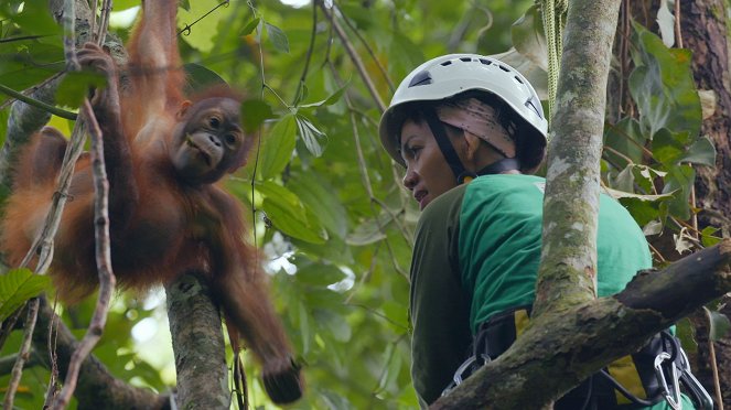 Primates - Schutz für die Primaten - Filmfotos