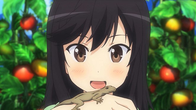 Non Non Biyori - We Made Friends with Fireflies - Photos