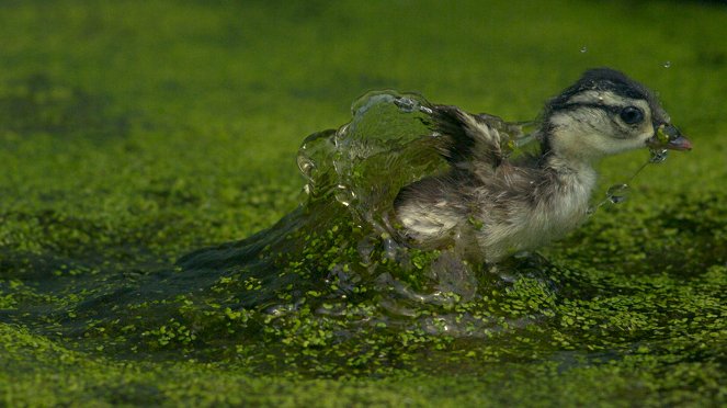 Life in the Air - Defying Gravity - De la película