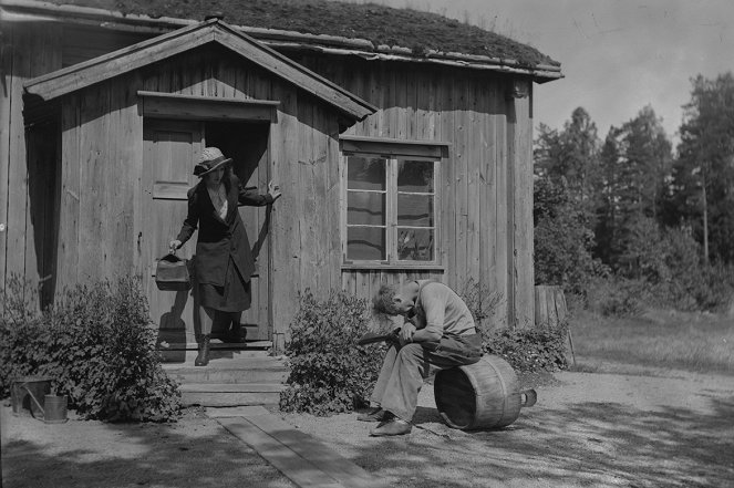 Flickan från Värmland - Van film