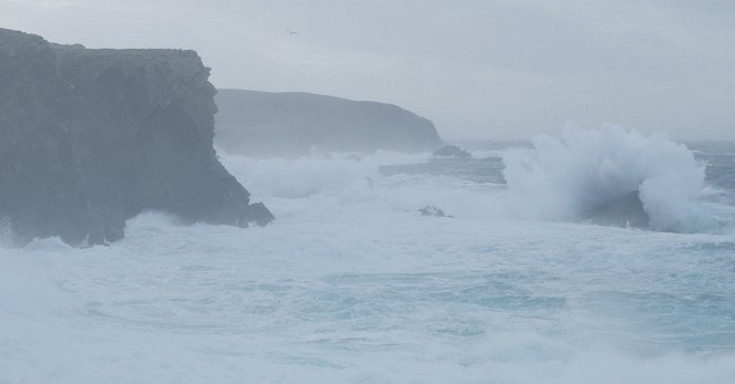 L'Île aux loutres, une affaire de famille - Filmfotók