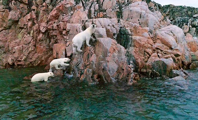 Odyssée sous les glaces - Kuvat elokuvasta