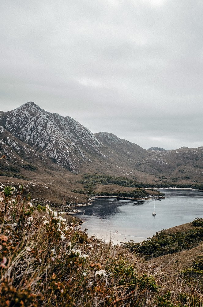 Australia's Ocean Odyssey: A Journey Down the East Australian Current - Photos