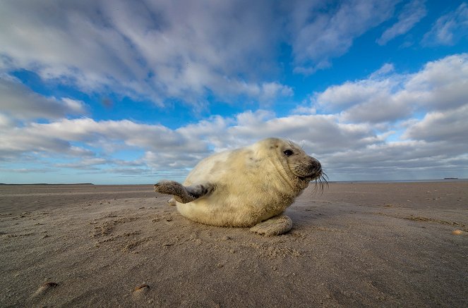 The Wadden Sea: Living on the Edge - Photos