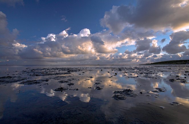 The Wadden Sea: Living on the Edge - Photos