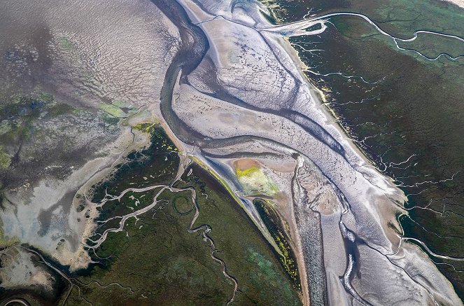 Wad: Overleven op de grens van water en land - Kuvat elokuvasta