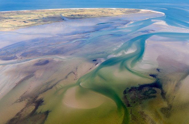 Das Wattenmeer – Leben zwischen Land und See - Filmfotos