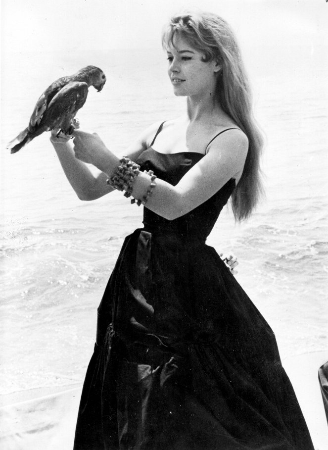 Brigitte Bardot, le serment fait aux animaux - Van film - Brigitte Bardot