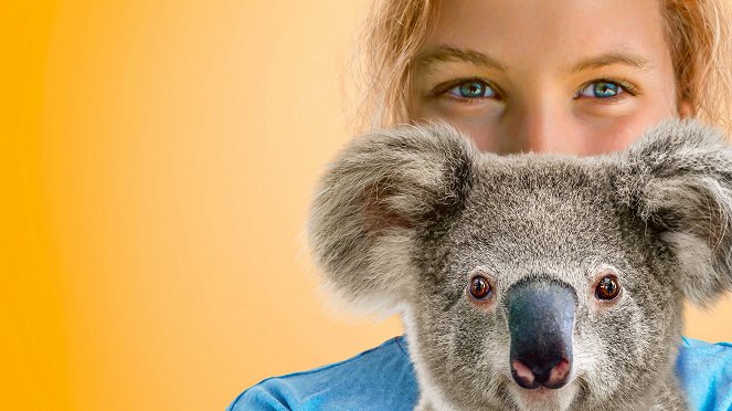 Izzy et les koalas - Promo
