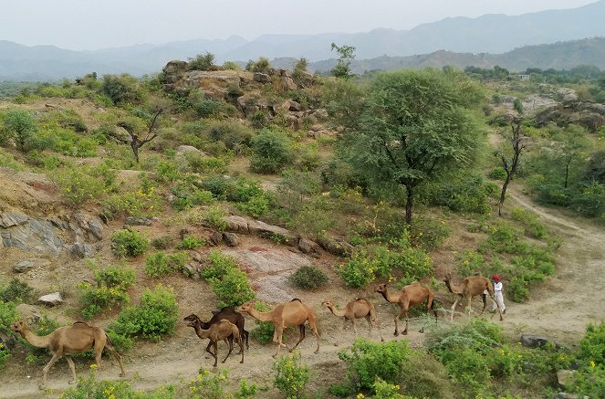 Hüter der Erde - Kamelhirten in Rajasthan - Z filmu