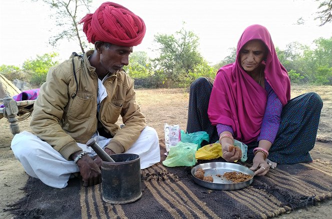 Hüter der Erde - Kamelhirten in Rajasthan - Filmfotos