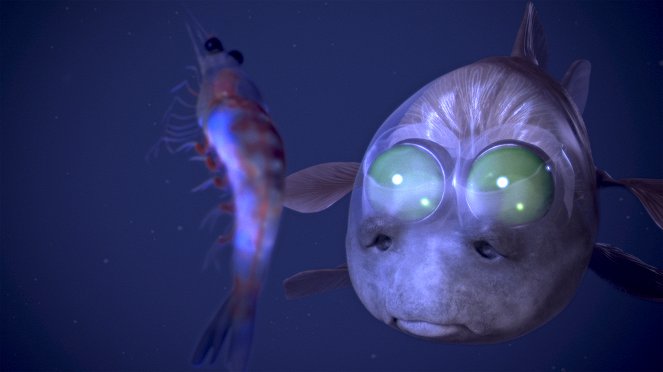 Deep Ocean: Lights in the Abyss - Z filmu