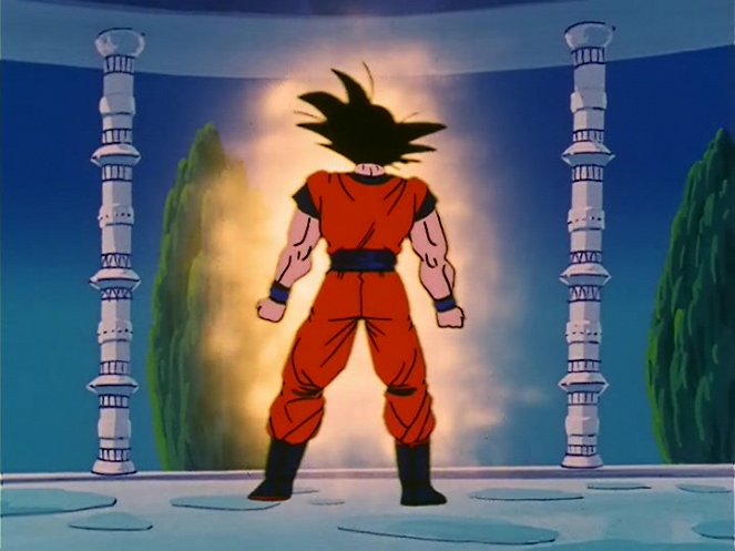 Dragon Ball Z - Silent Warrior - Photos