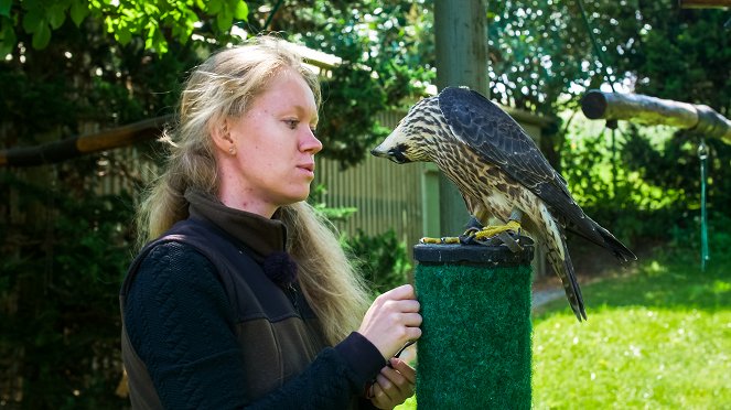 Eränkävijät: Alpeilta Arktiselle - Kuvat elokuvasta