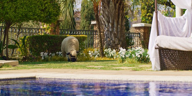 Cómo cargarse las Navidades - La boda - No es lo que parece - De la película