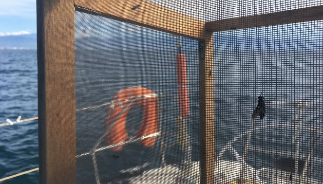 Mit Kompass und Köpfchen auf hoher See - Mexiko - Filmfotos