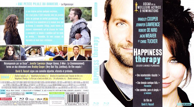 Silver Linings Playbook - Covers