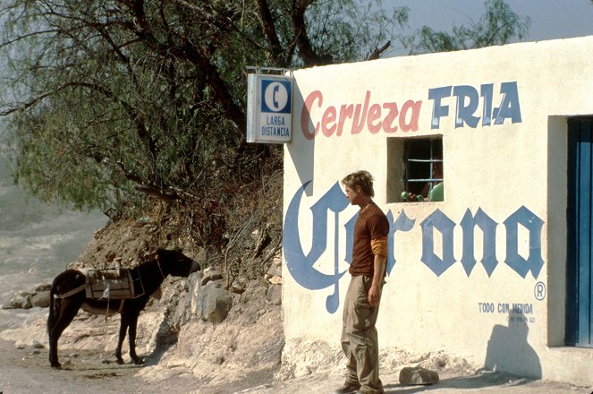 Le Mexicain - Film - Brad Pitt