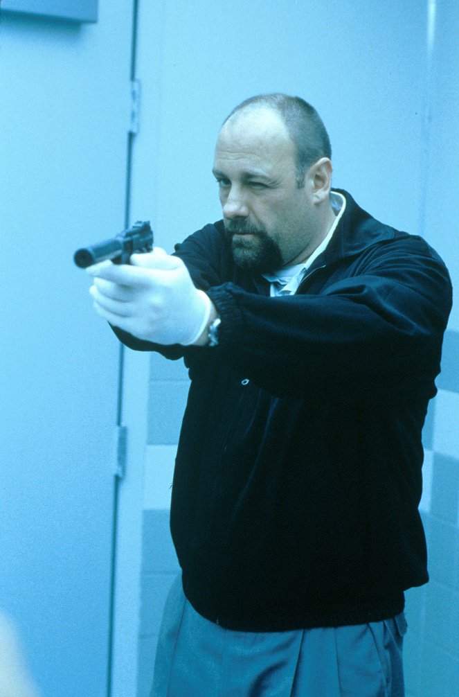 Le Mexicain - Film - James Gandolfini