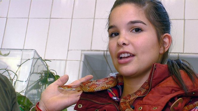 Anna und die Haustiere - Schlange - Van film - Annika Preil