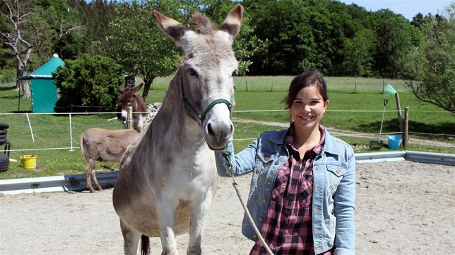 Anna und die Haustiere - Esel - Van film - Annika Preil