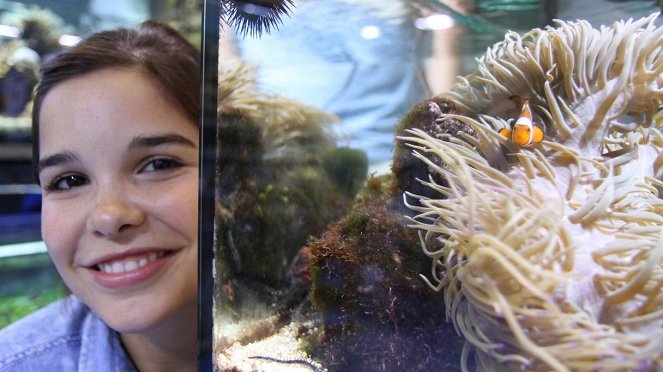 Anna und die Haustiere - Meerwasserfische - Filmfotók - Annika Preil
