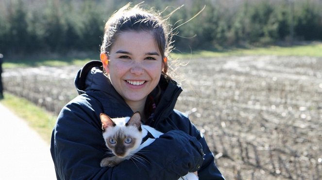 Anna und die Haustiere - Siamkatze - Filmfotók - Annika Preil