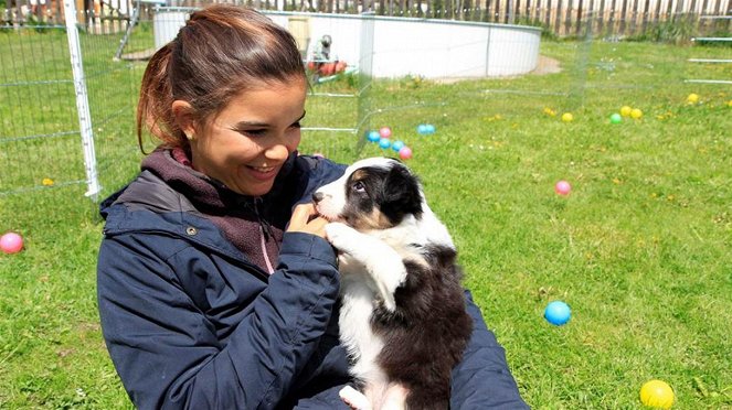 Anna und die Haustiere - Border Collie - Filmfotos - Annika Preil