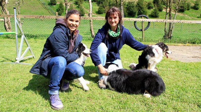 Anna und die Haustiere - Border Collie - Van film - Annika Preil