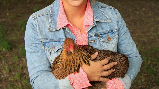 Anna und die Haustiere - Huhn - Photos