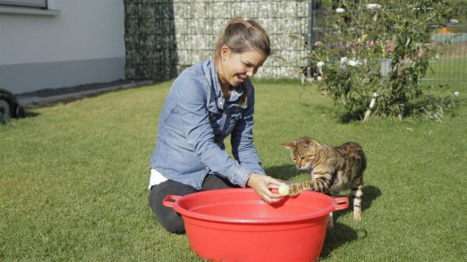 Anna und die Haustiere - Bengalkatze - Kuvat elokuvasta - Annika Preil