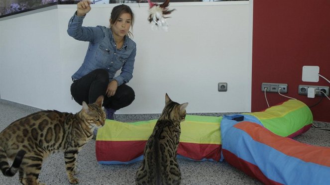 Anna und die Haustiere - Bengalkatze - Filmfotos - Annika Preil