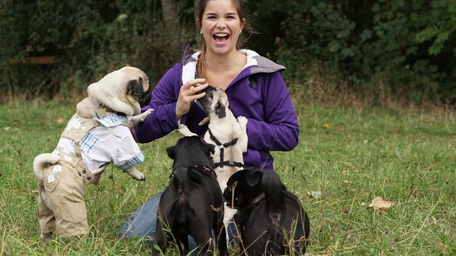 Anna und die Haustiere - Mops - Photos - Annika Preil