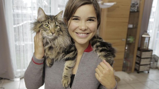 Anna und die Haustiere - Norwegische Waldkatze - Filmfotók - Annika Preil