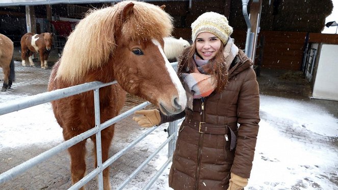 Anna und die Haustiere - Islandpferd - Photos - Annika Preil