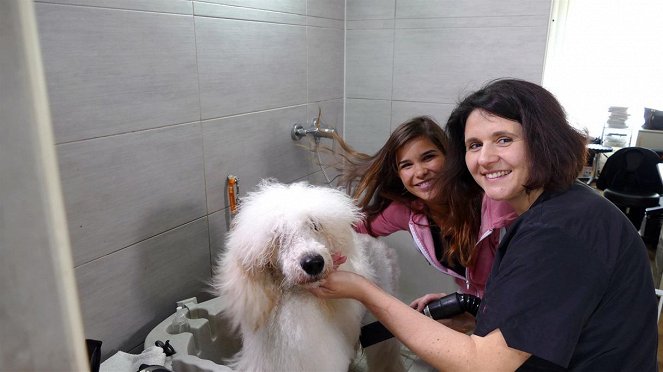 Anna und die Haustiere - Ein Tag beim Hundefriseur - Photos - Annika Preil